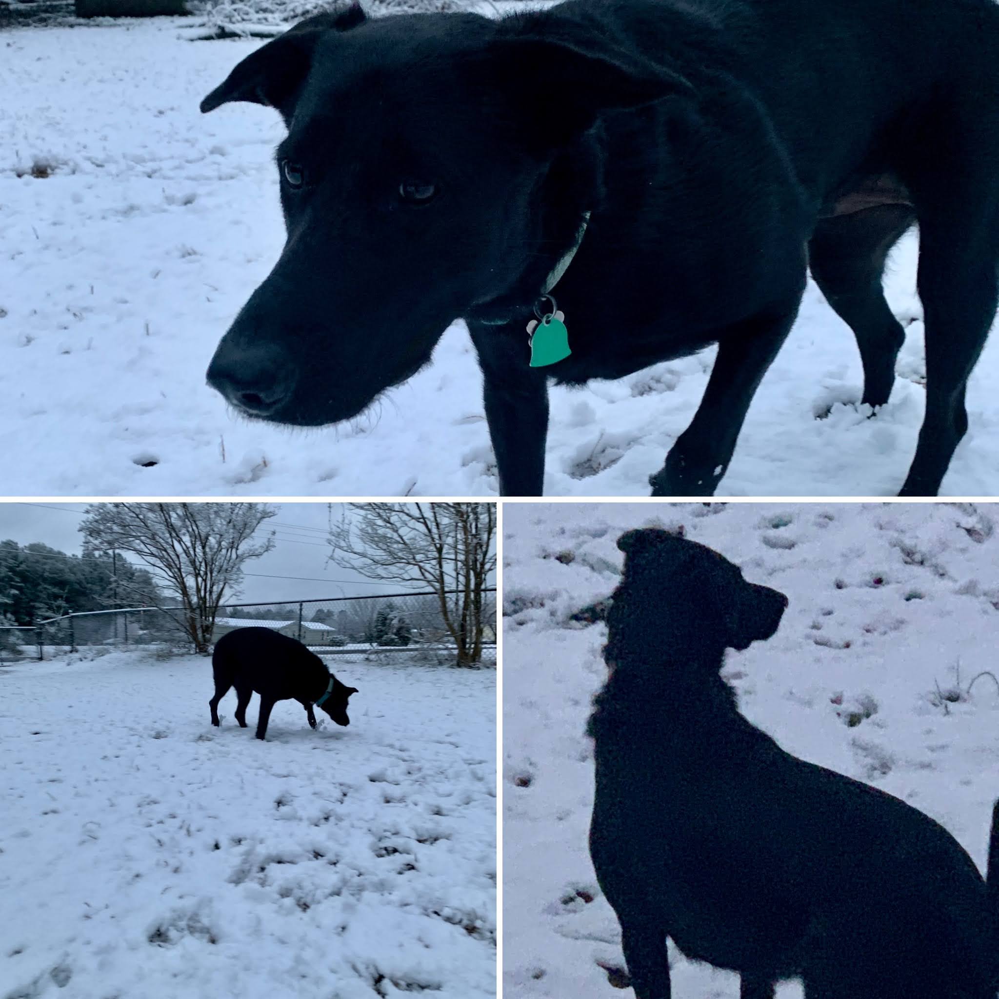 Snow Day